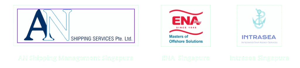 image removebg preview(30)